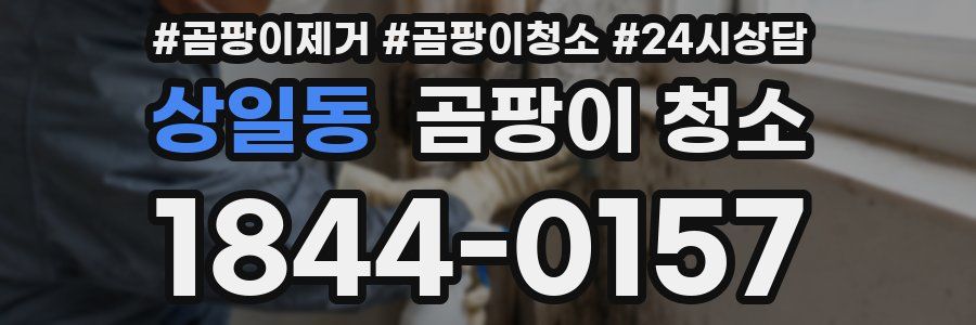 상일동 곰팡이 청소