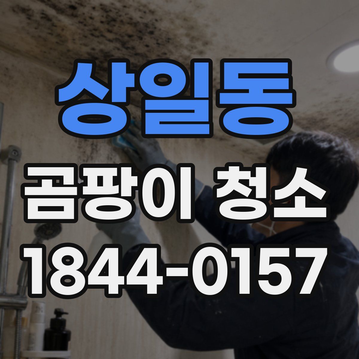상일동 곰팡이 청소
