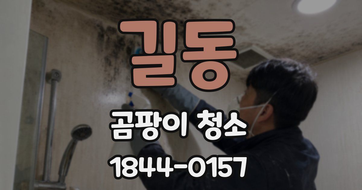 길동 곰팡이 청소