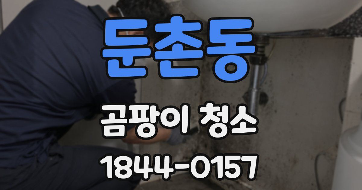 둔촌동 곰팡이 청소