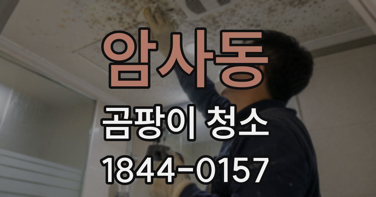 암사동 곰팡이 청소