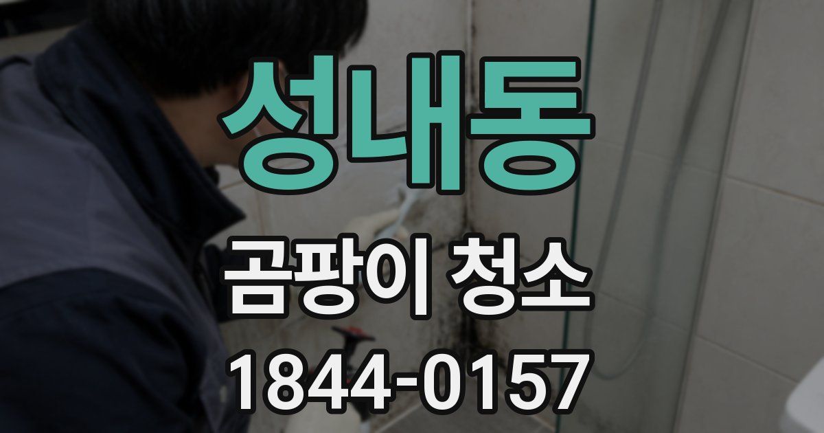 성내동 곰팡이 청소