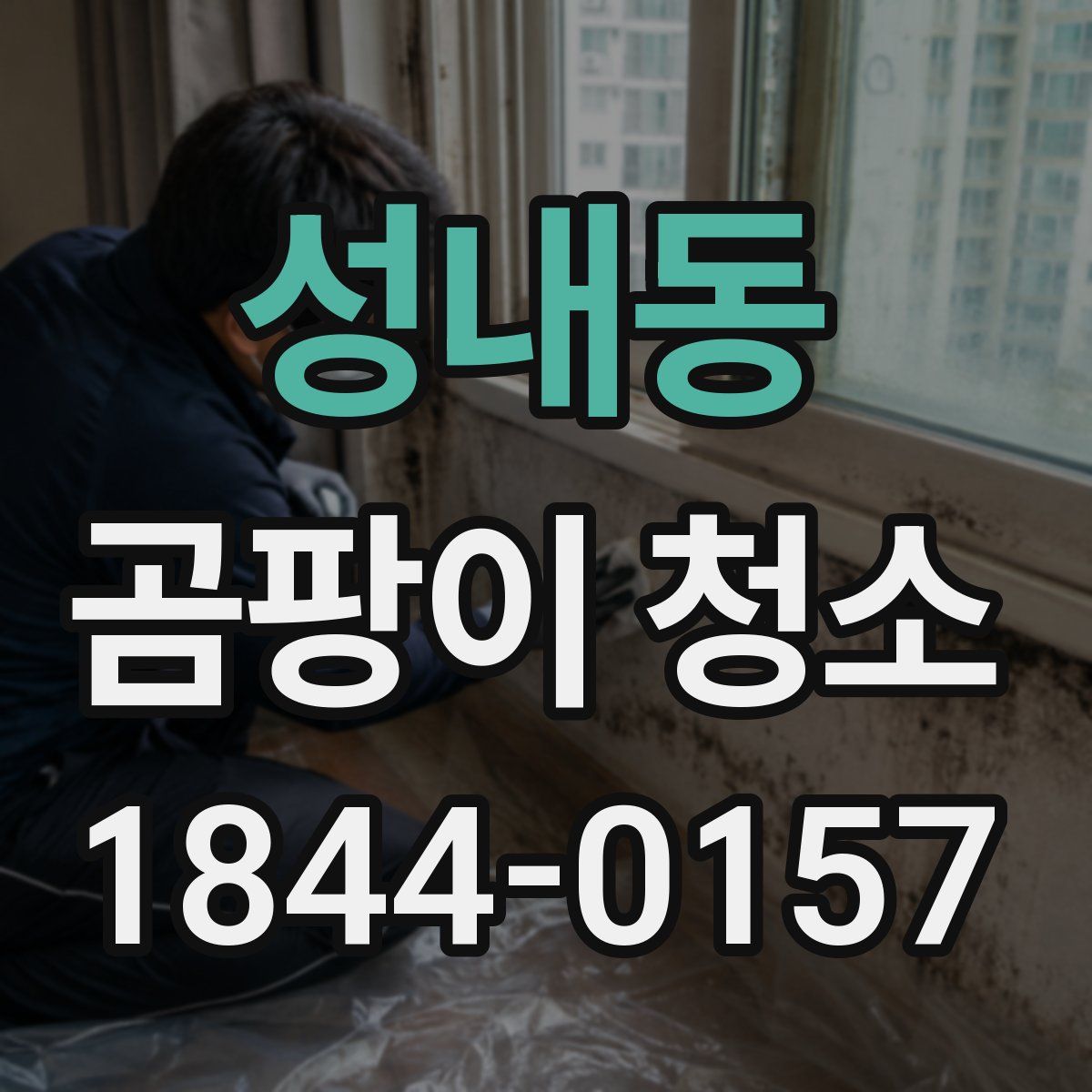 성내동 곰팡이 청소