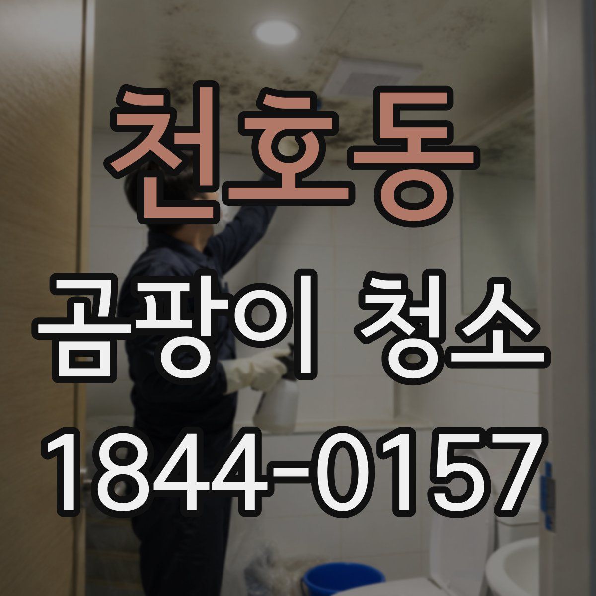 천호동 곰팡이 청소