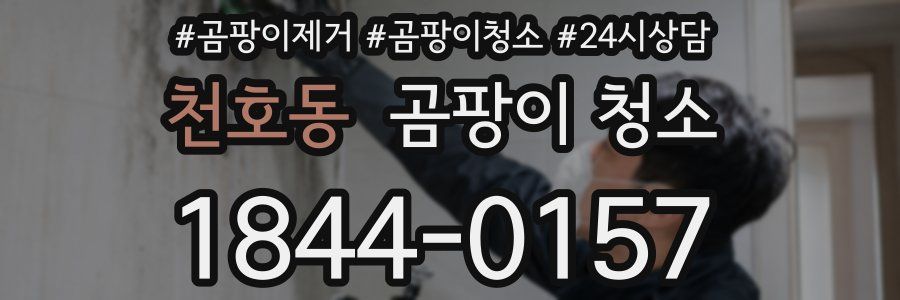 천호동 곰팡이 청소