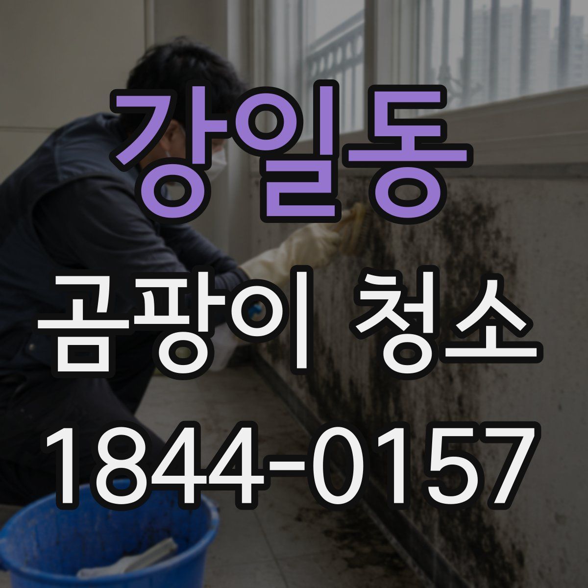 강일동 곰팡이 청소