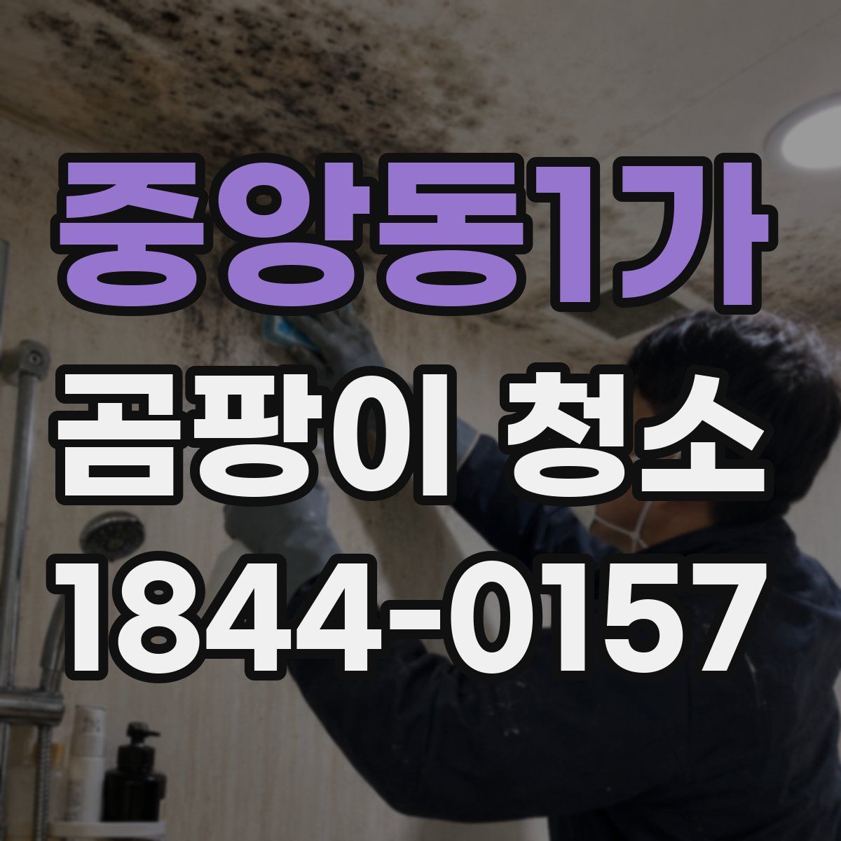 중앙동1가 곰팡이 청소