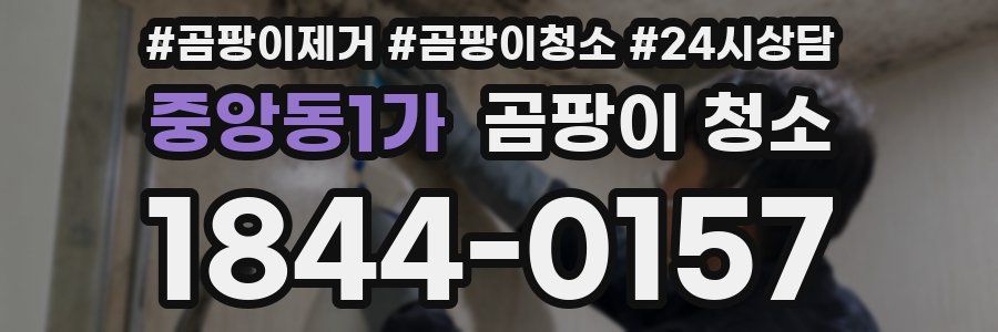 중앙동1가 곰팡이 청소