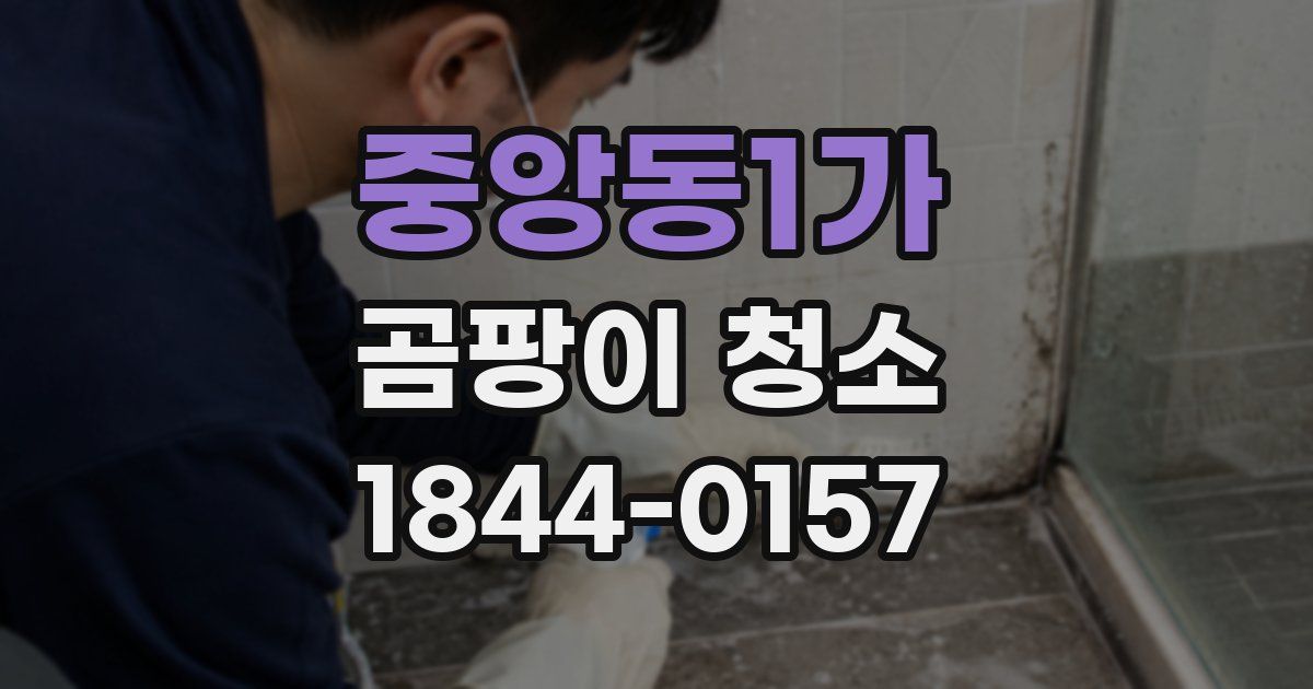 중앙동1가 곰팡이 청소