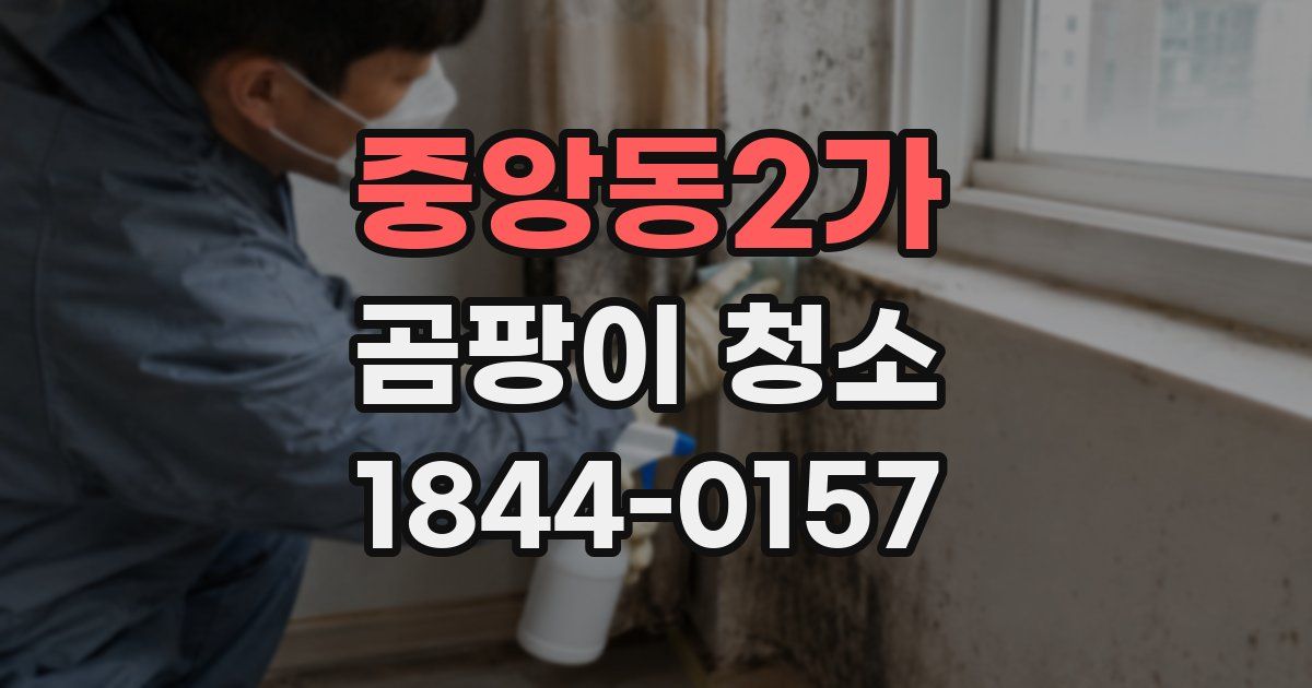 중앙동2가 곰팡이 청소