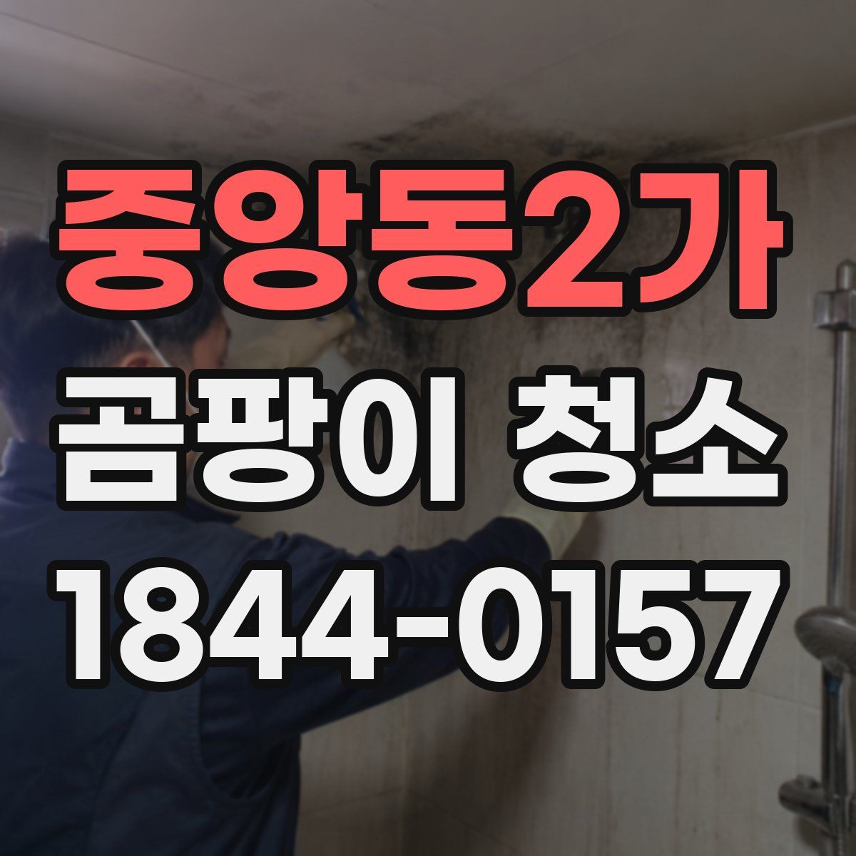 중앙동2가 곰팡이 청소