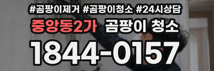 중앙동2가 곰팡이 청소