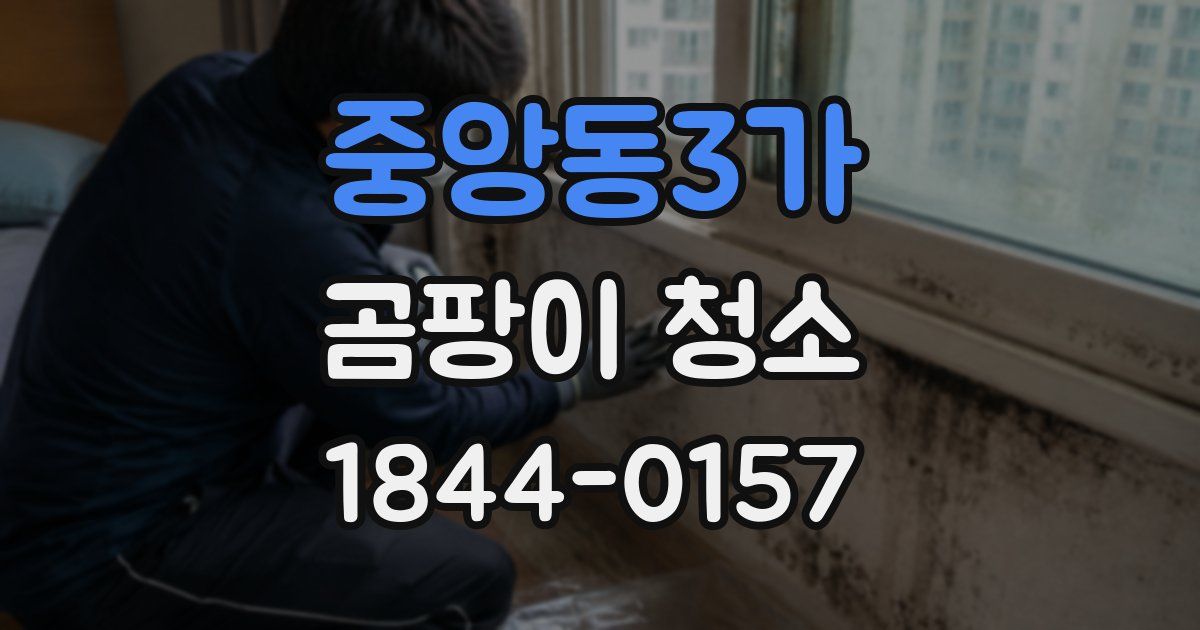 중앙동3가 곰팡이 청소