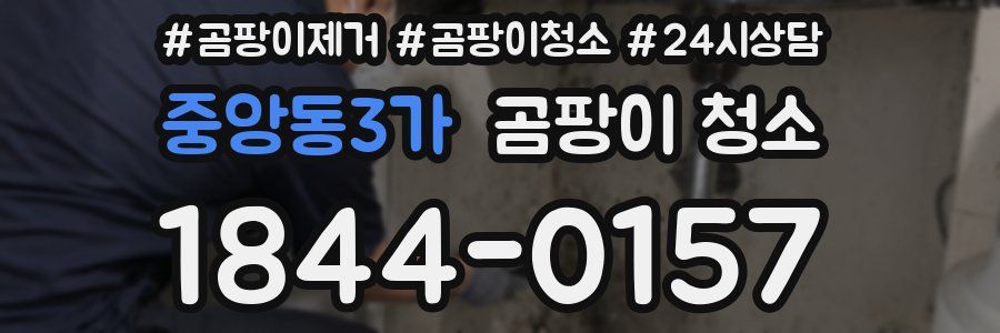 중앙동3가 곰팡이 청소