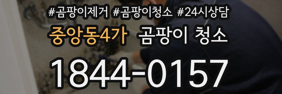 중앙동4가 곰팡이 청소