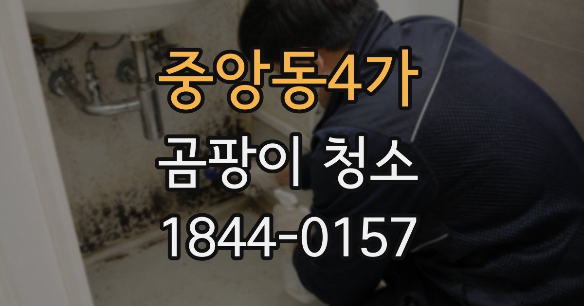 중앙동4가 곰팡이 청소