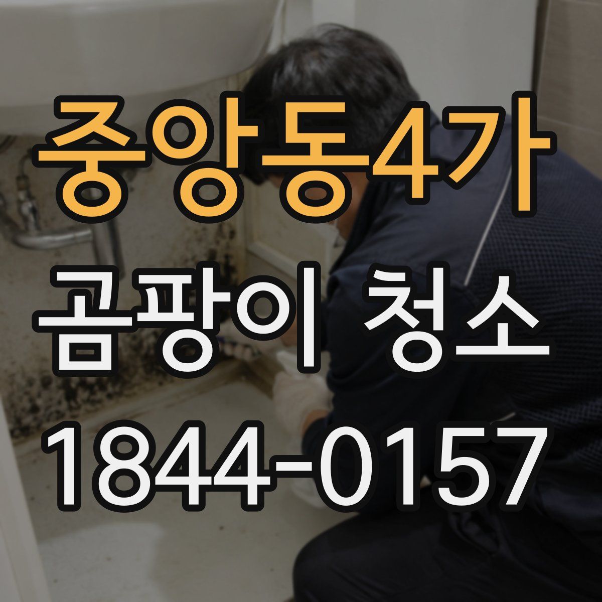 중앙동4가 곰팡이 청소