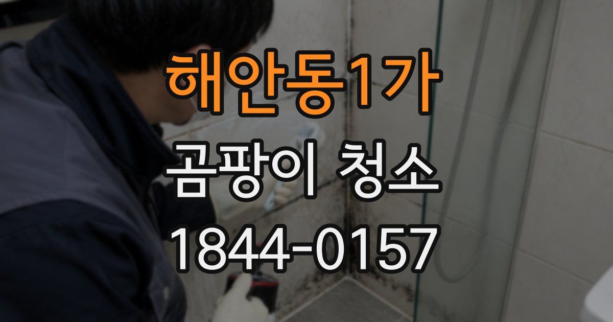 해안동1가 곰팡이 청소