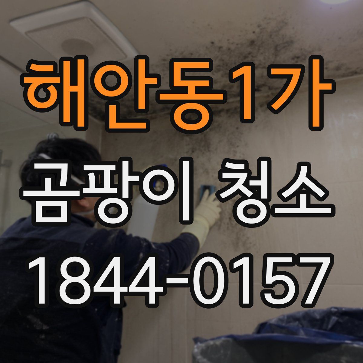 해안동1가 곰팡이 청소