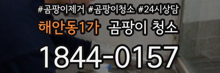 해안동1가 곰팡이 청소
