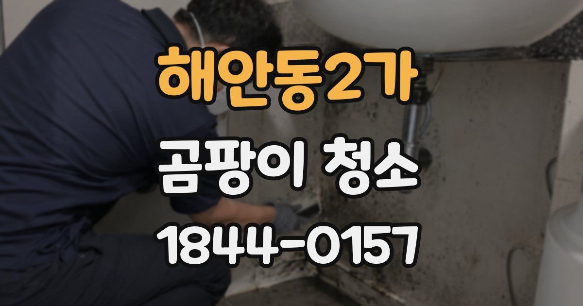 해안동2가 곰팡이 청소