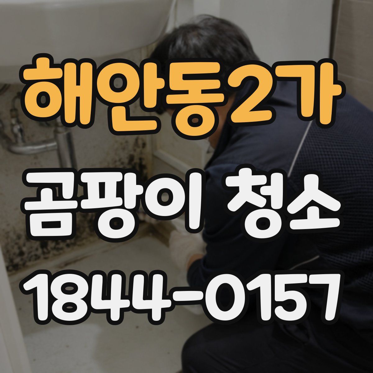 해안동2가 곰팡이 청소