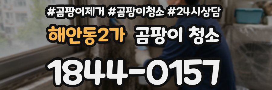 해안동2가 곰팡이 청소