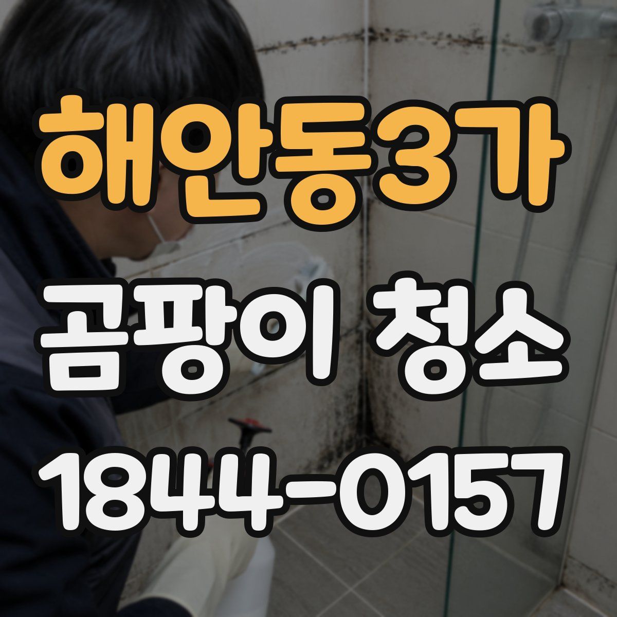 해안동3가 곰팡이 청소
