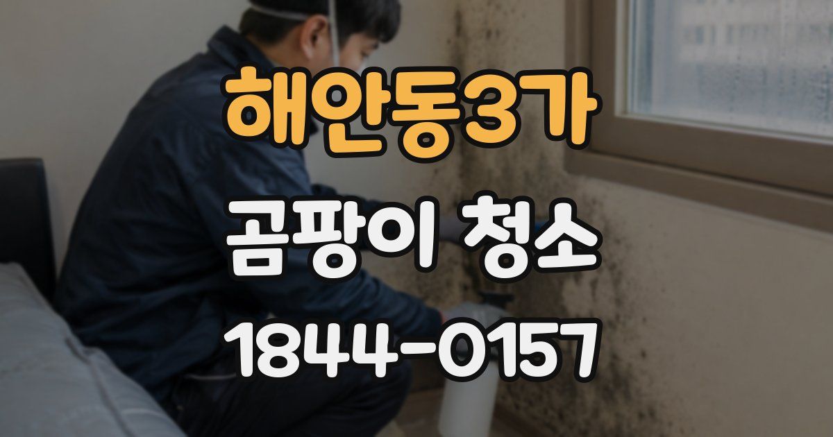 해안동3가 곰팡이 청소