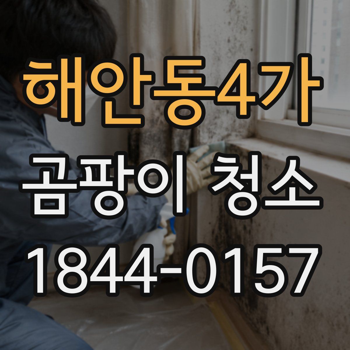 해안동4가 곰팡이 청소