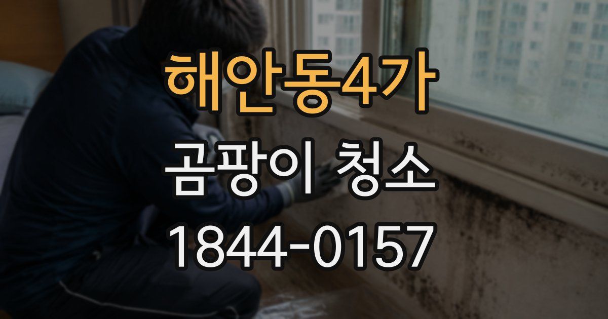 해안동4가 곰팡이 청소