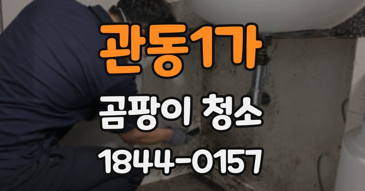 관동1가 곰팡이 청소