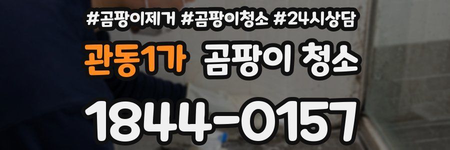 관동1가 곰팡이 청소