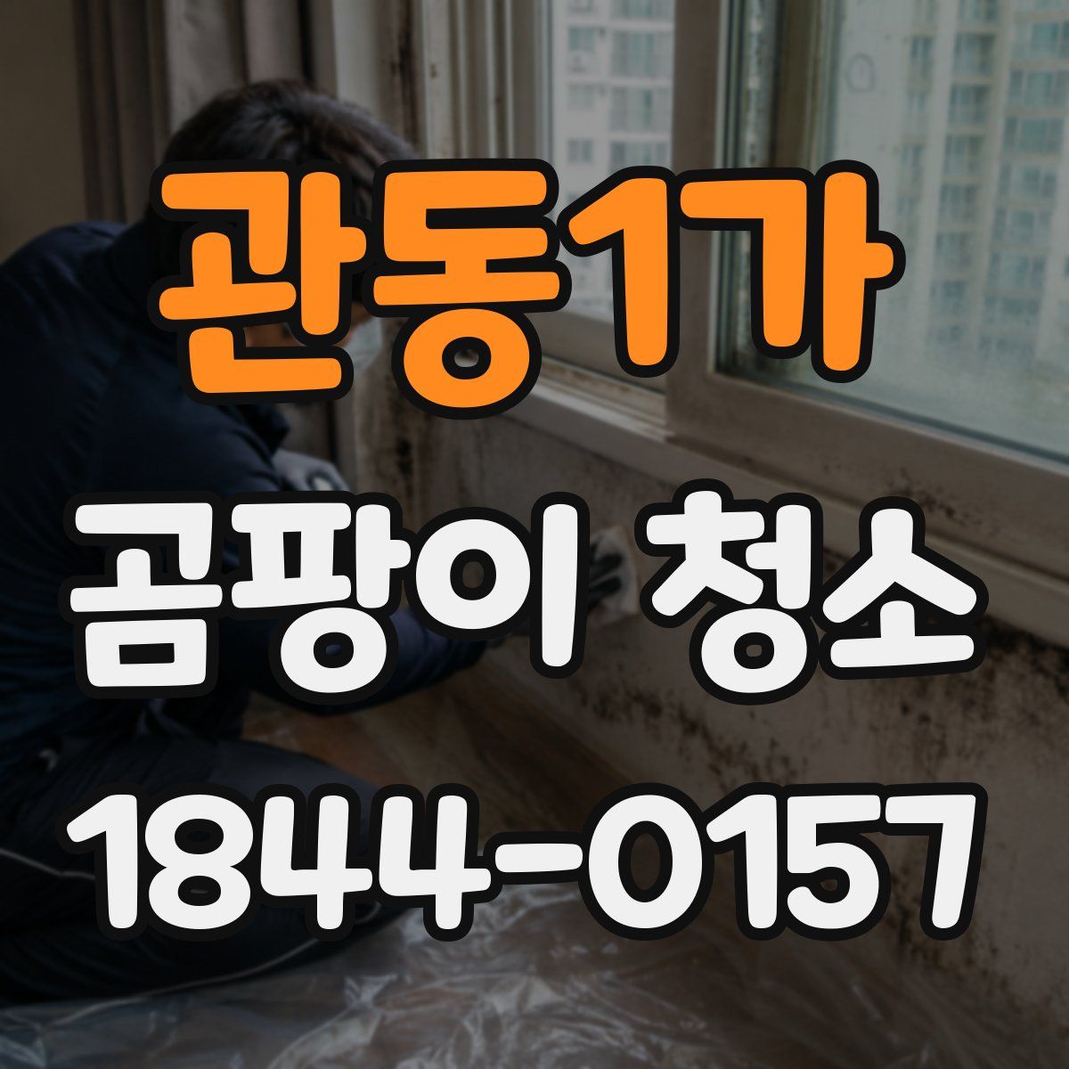 관동1가 곰팡이 청소