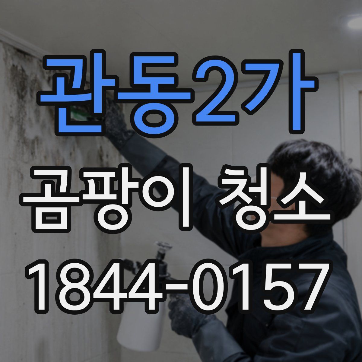 관동2가 곰팡이 청소