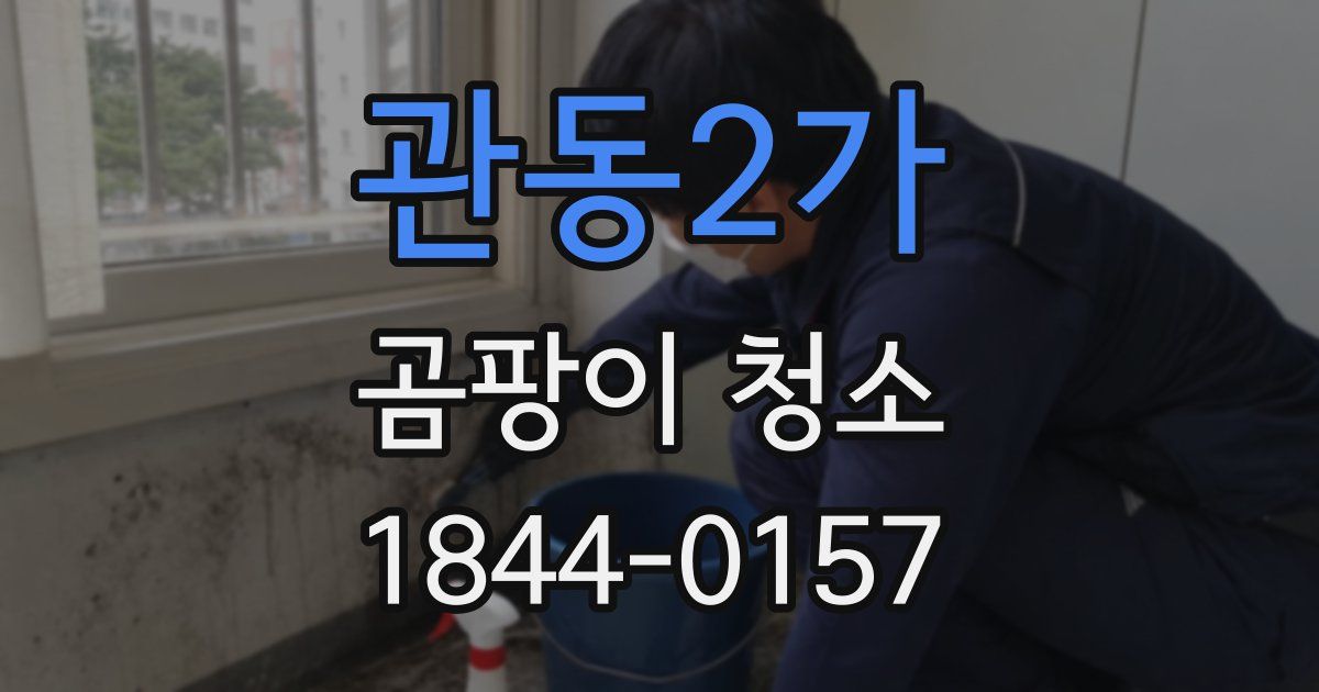관동2가 곰팡이 청소