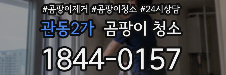 관동2가 곰팡이 청소