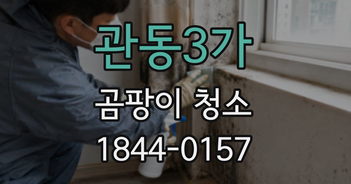 관동3가 곰팡이 청소