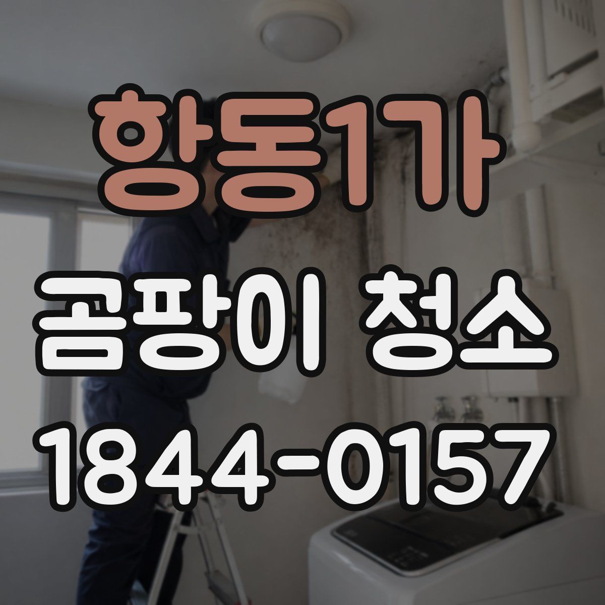 항동1가 곰팡이 청소
