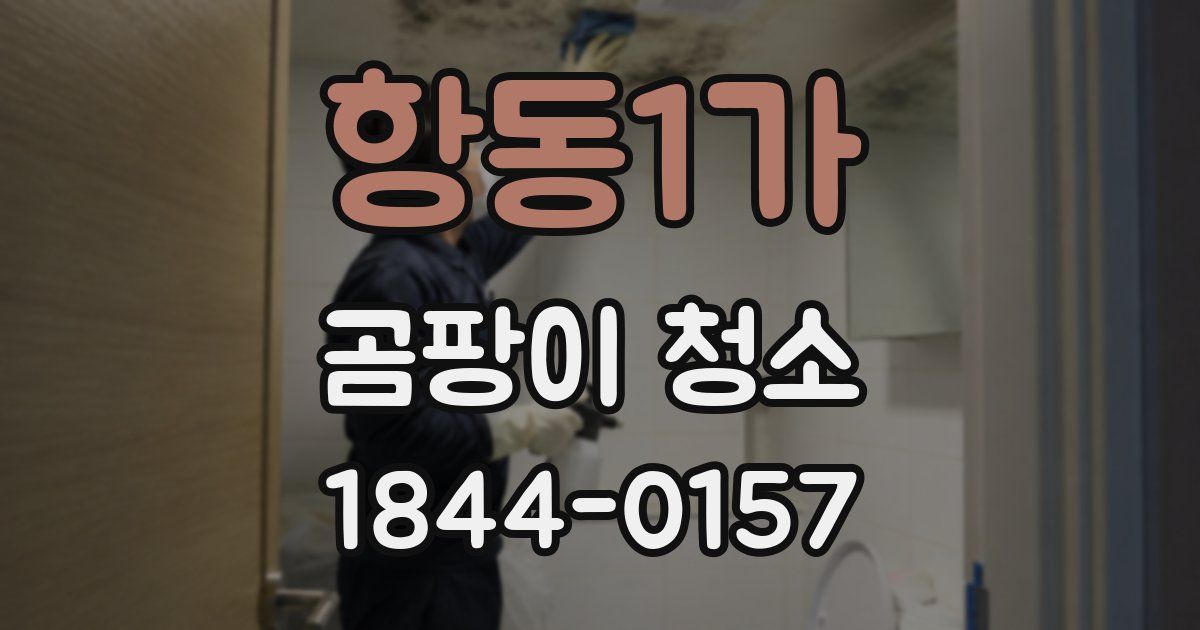 항동1가 곰팡이 청소