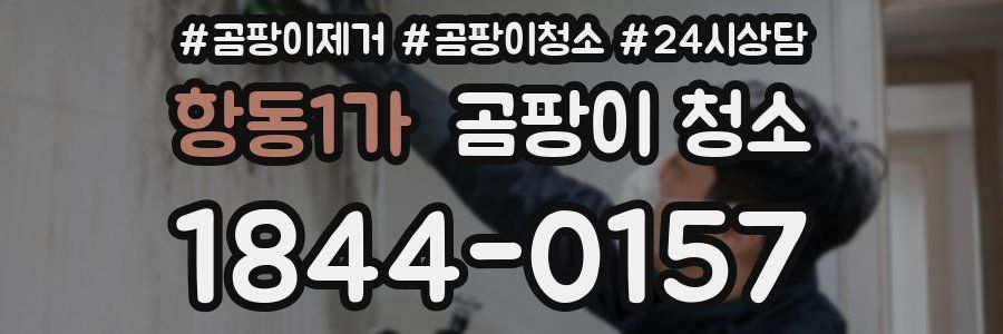 항동1가 곰팡이 청소