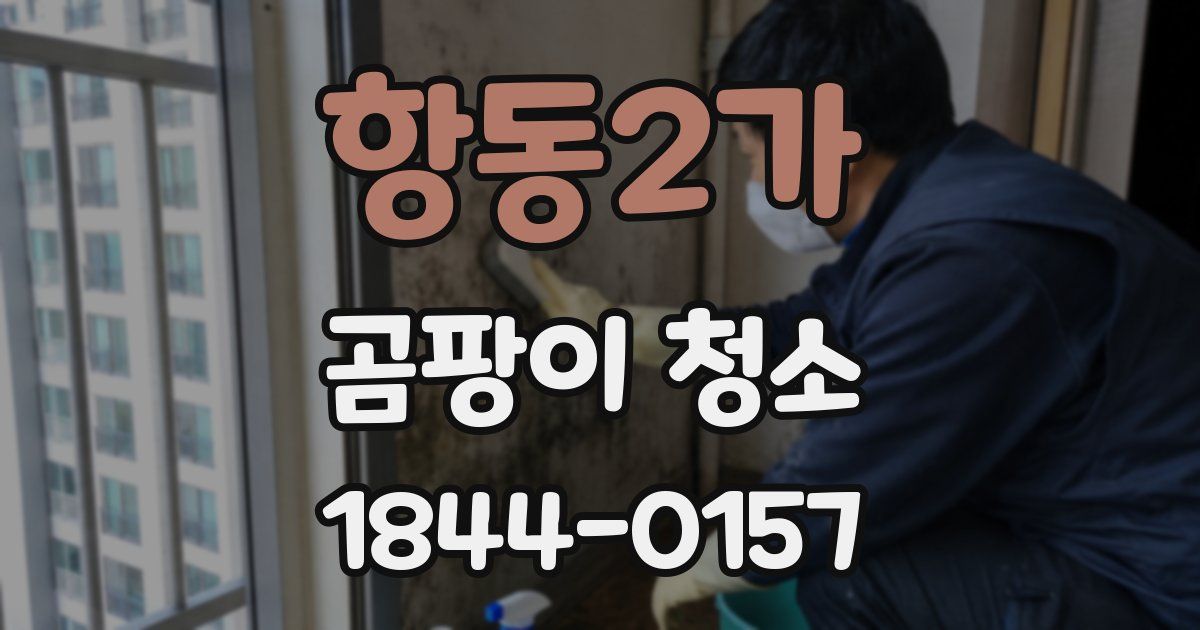 항동2가 곰팡이 청소