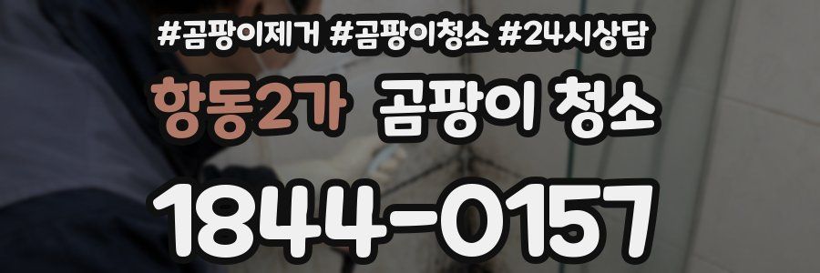항동2가 곰팡이 청소