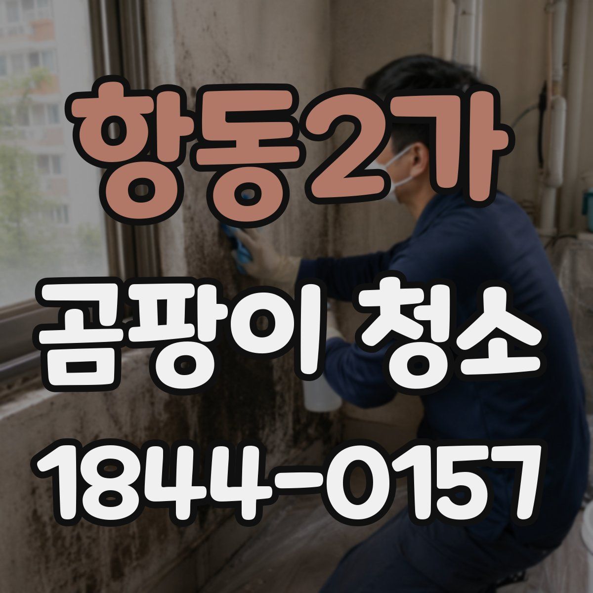 항동2가 곰팡이 청소