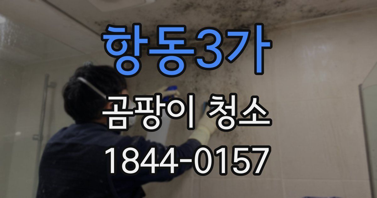 항동3가 곰팡이 청소