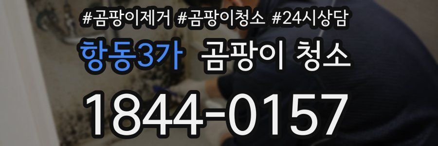 항동3가 곰팡이 청소