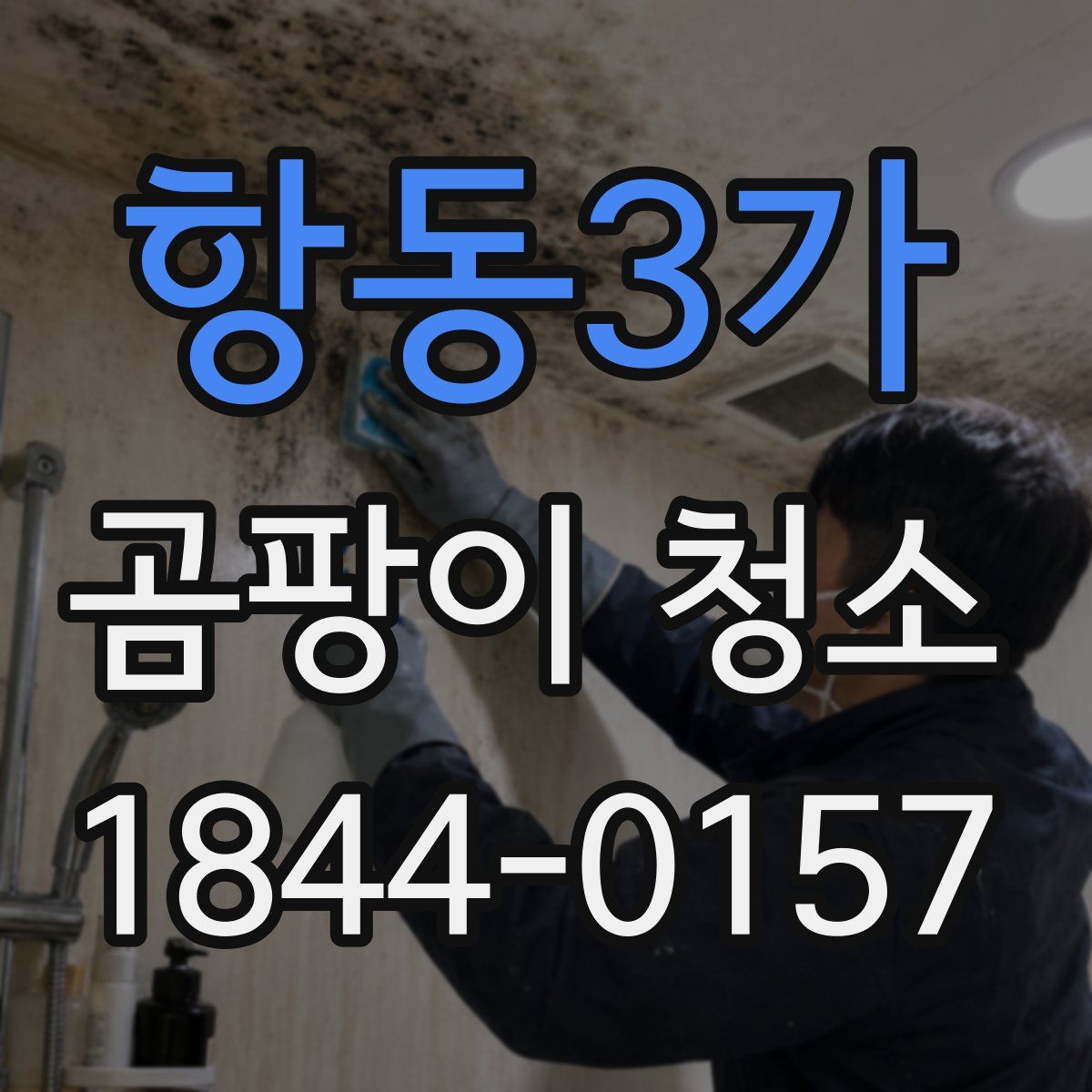 항동3가 곰팡이 청소