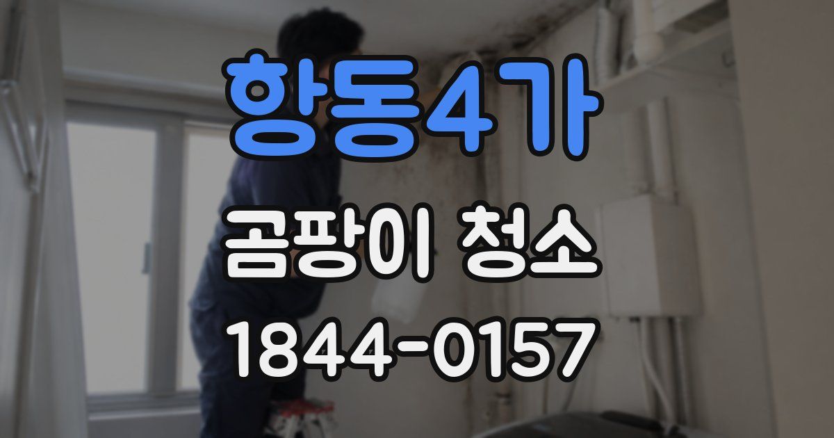 항동4가 곰팡이 청소