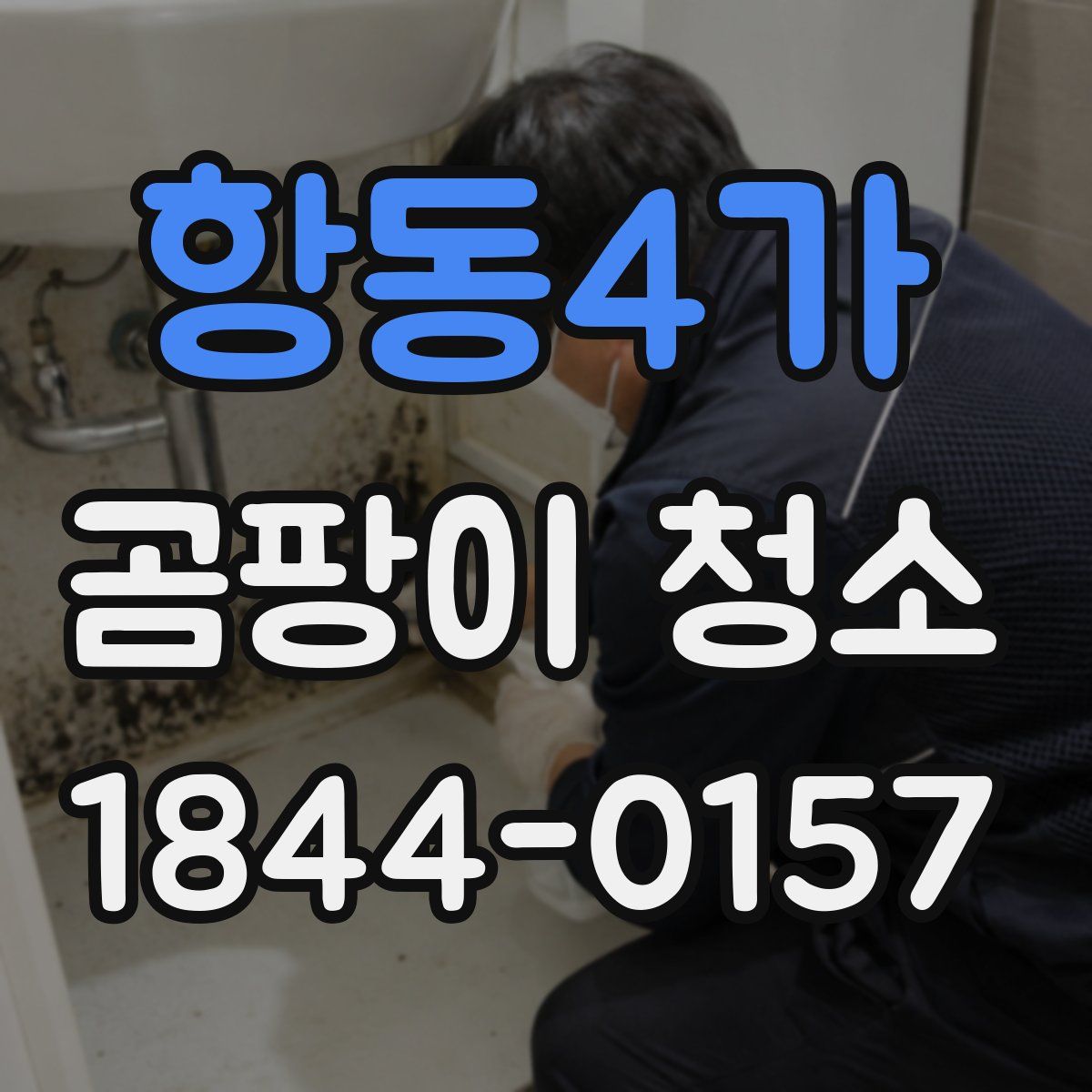 항동4가 곰팡이 청소
