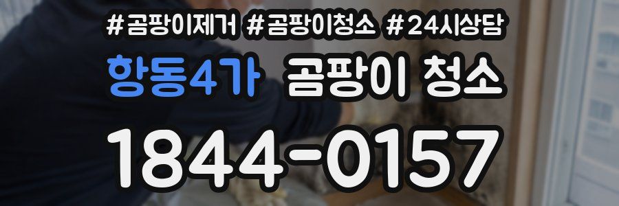 항동4가 곰팡이 청소